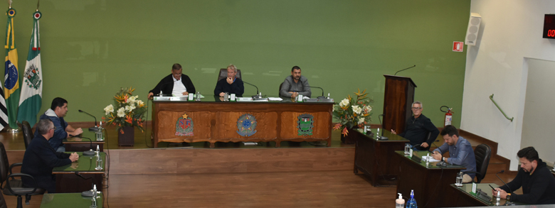 11ª SESSÃO ORDINÁRIA, 30ª e 31ª EXTRAORDINÁRIAS