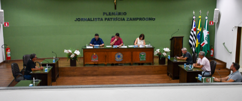 Primeira e Segunda Sessões Extraordinárias de 2025 Foram Realizadas em Santa Rita do Passa Quatro