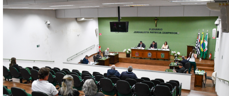 16ª Sessão Ordinária de 2025